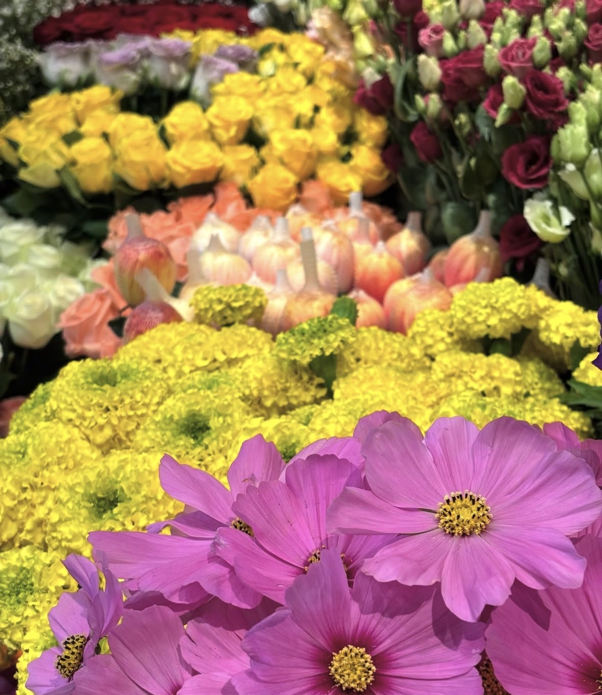 Farbenreiche Auswahl frischer Schnittblumen