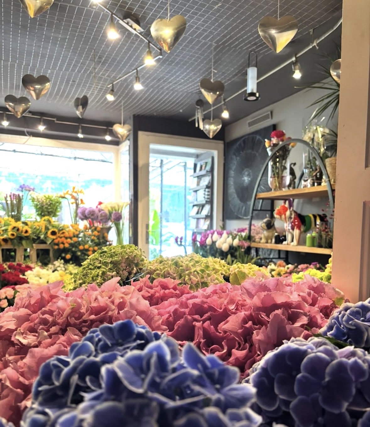 Blick in das ALFRED Blumenatelier mit Hortensien und Dekoration
