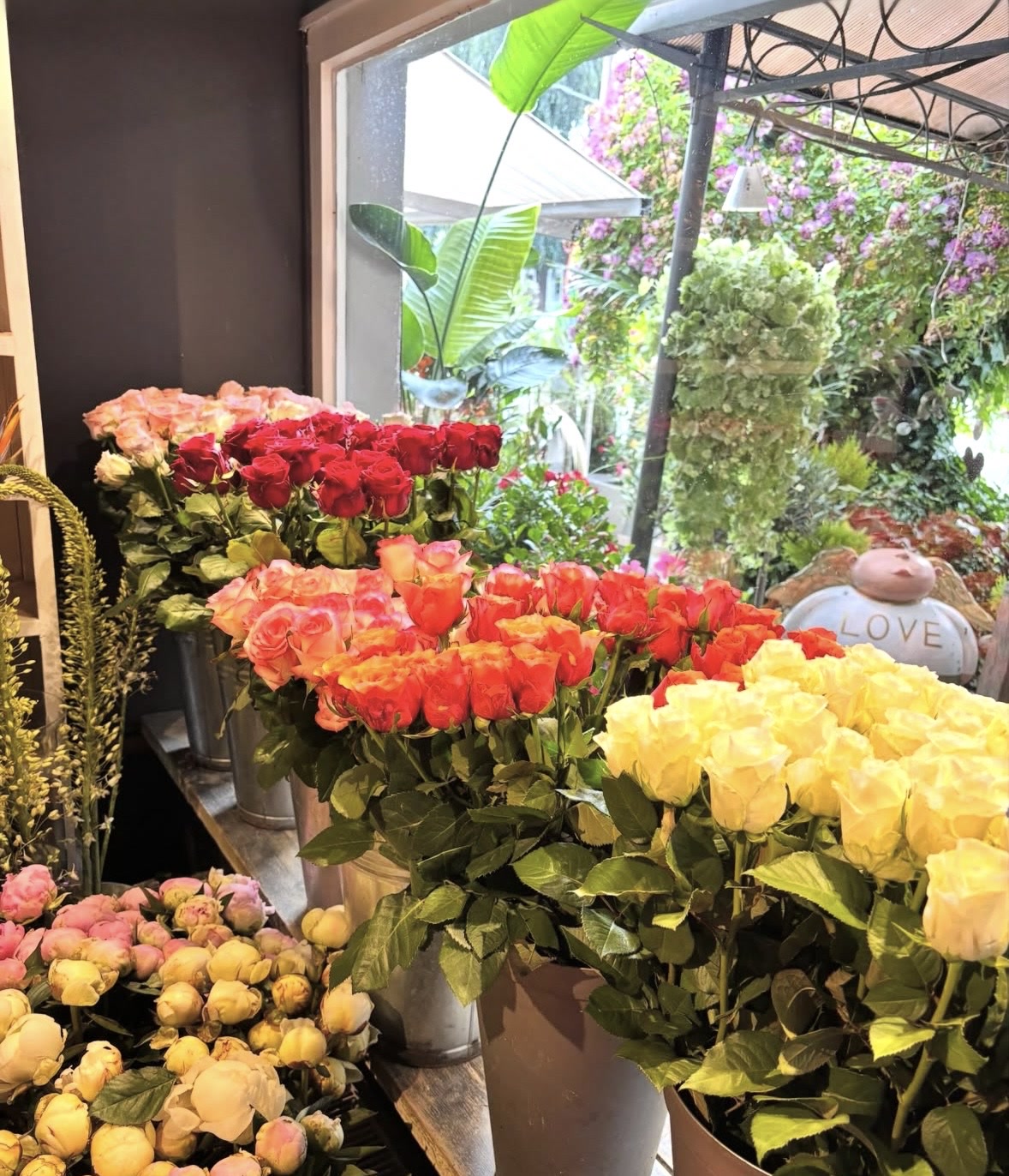 Frische Rosen in vielen Farbtönen im ALFRED Blumenatelier